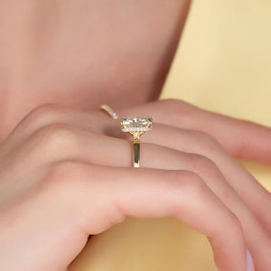 The Eleanor Set With A 2.5 Carat Elongated Cushion Moissanite
