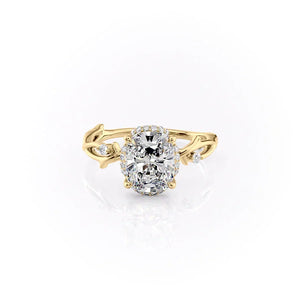 The Halo Twig Set With A Elongated Cushion Moissanite
