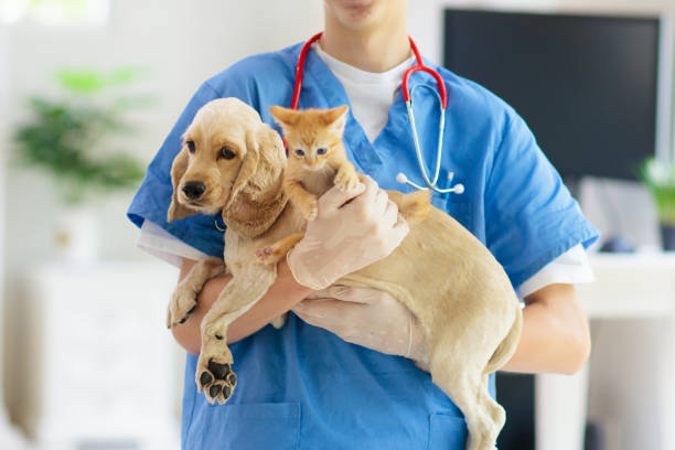 RESCUE & EMERGENCY CARE