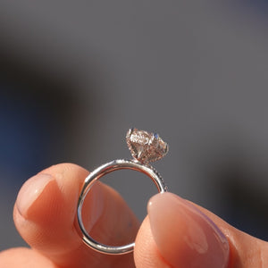 The Pave Crown Kamellie - Engagement Ring Made in White Gold