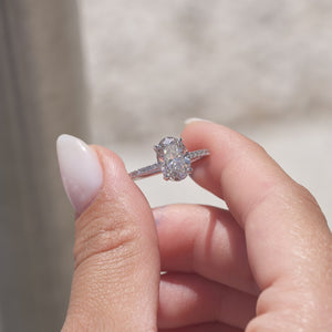 The Pave Crown Kamellie - Engagement Ring Made in White Gold
